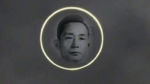 88影视